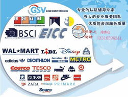 高效對接，精準匹配——專業商務信息咨詢服務采購指南
