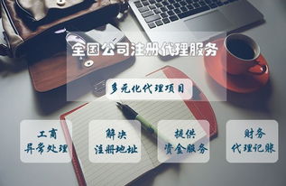 外貿(mào)公司注冊(cè)流程及經(jīng)營(yíng)范圍詳解 商務(wù)信息咨詢服務(wù)的定位