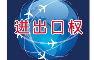 上海外貿(mào)公司如何辦理進出口權(quán)資質(zhì)申請與廣告設(shè)計業(yè)務(wù)拓展